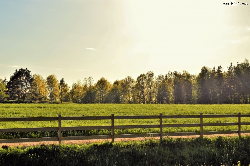 宽广的草地图片