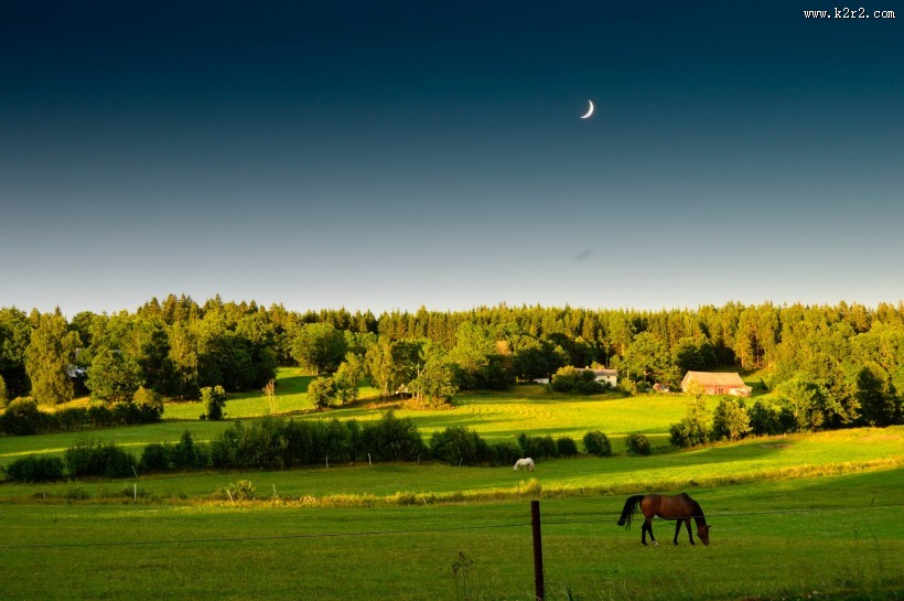 宽广的草地图片