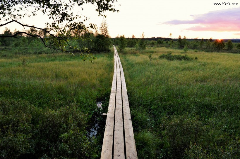 绿油油的郊外风景图片