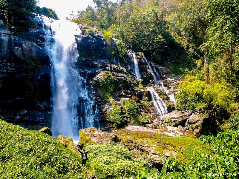 森林里的瀑布图片