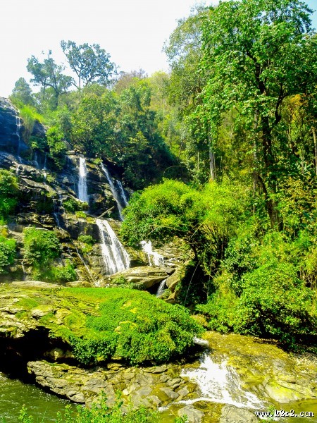 森林里的瀑布图片