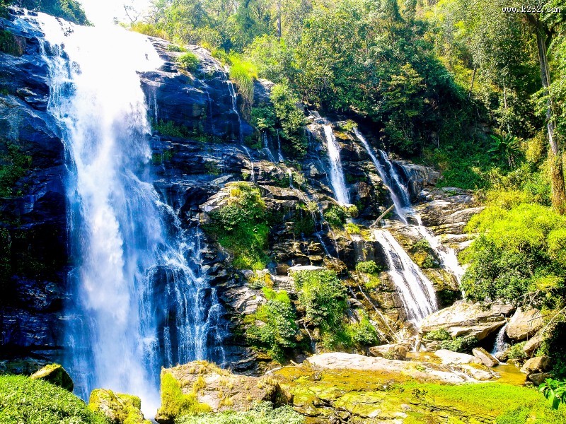 森林里的瀑布图片