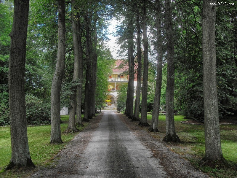 静谧的林间小路图片