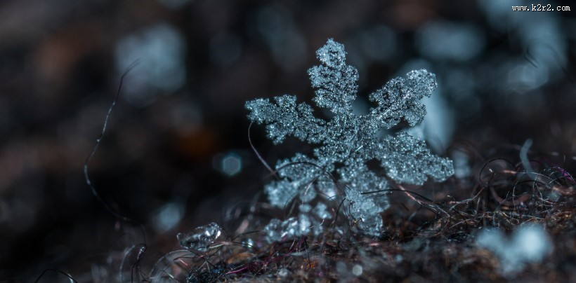 显微镜拍摄的雪花图片