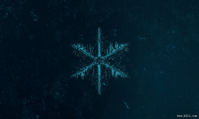 显微镜拍摄的雪花图片