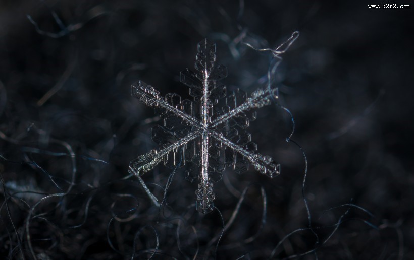 显微镜拍摄的雪花图片