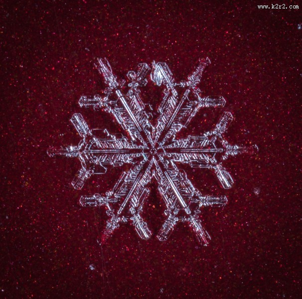 显微镜拍摄的雪花图片