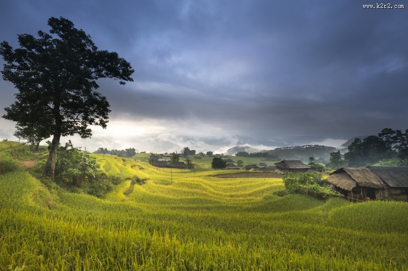 秋季乡村梯田风景图片