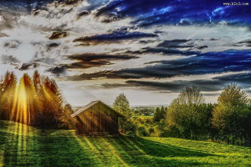 绿油油的自然风景图片大全