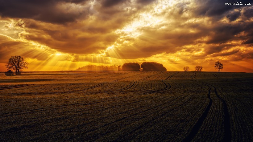 辽阔的田野图片