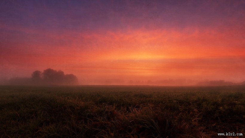 辽阔的田野图片
