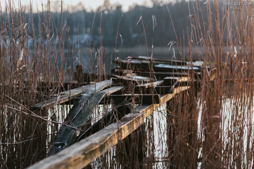 湖边的风景图片