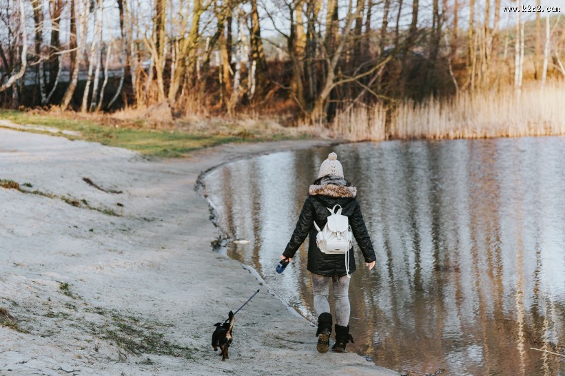 湖边的风景图片