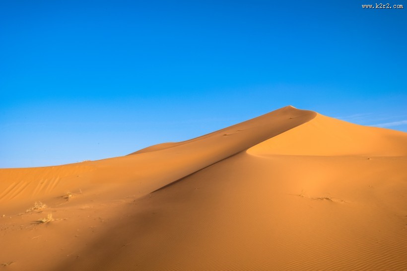 干旱的沙漠图片