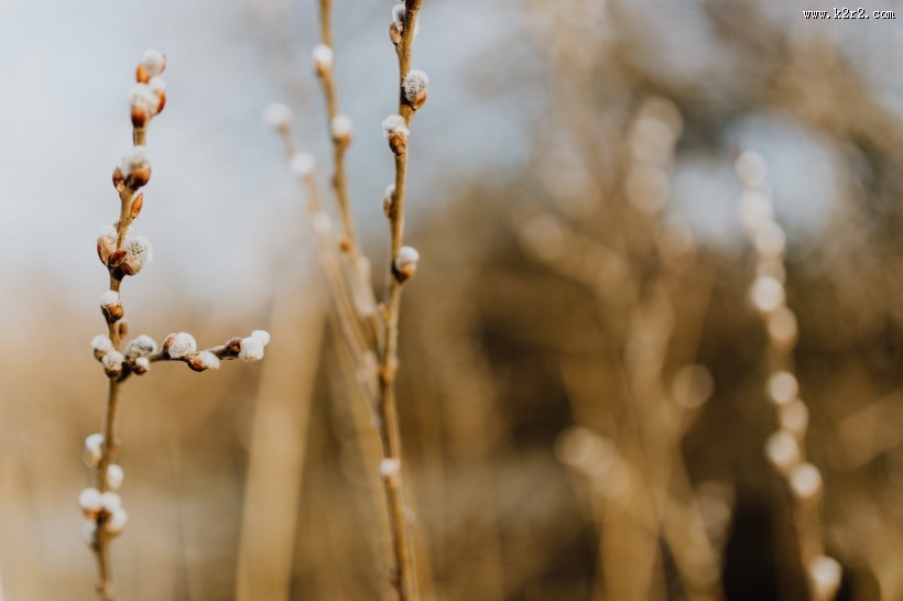 郊外的风景图片
