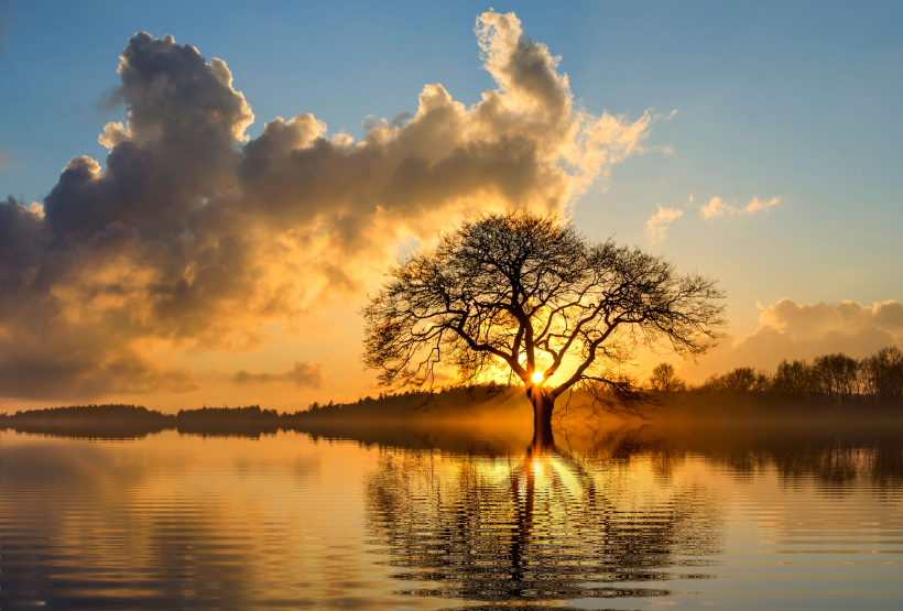 水中的倒影图片