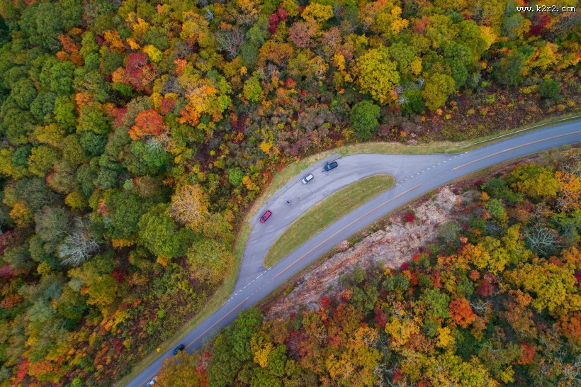 秋天的森林图片