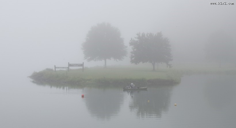 雾天的森林图片大全