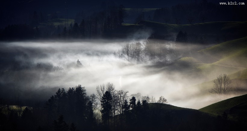 雾天的森林图片大全