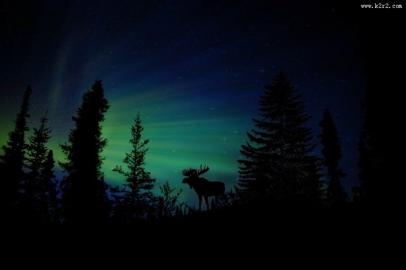 美丽的极光图片大全