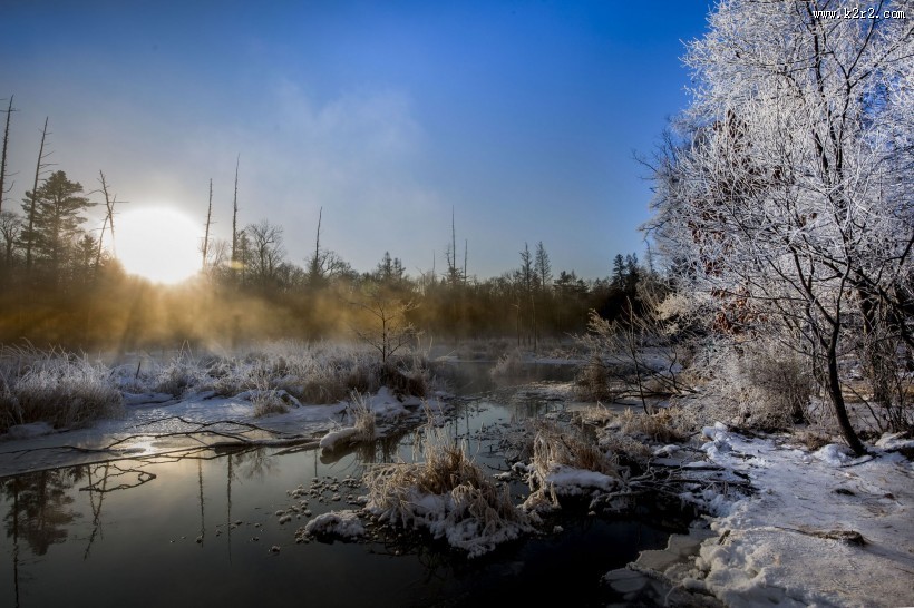唯美的雾淞风景图片大全
