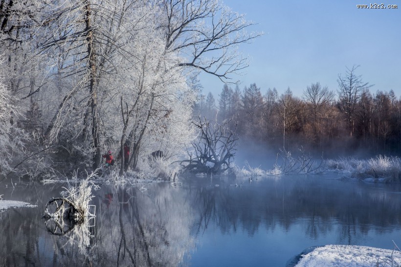唯美的雾淞风景图片大全