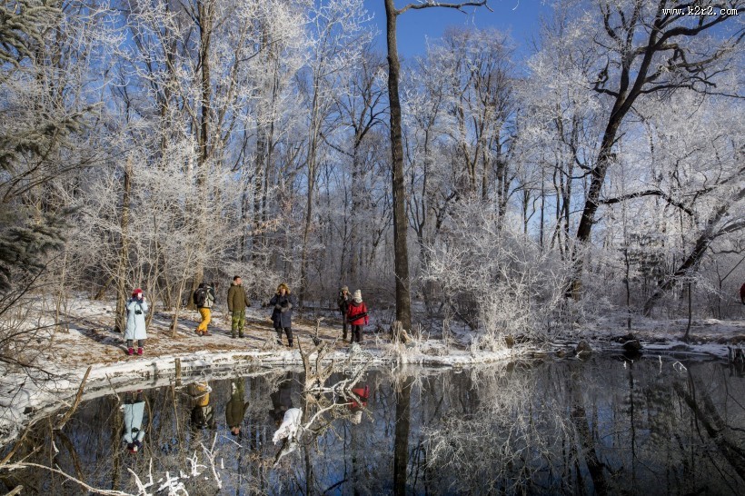 唯美的雾淞风景图片大全