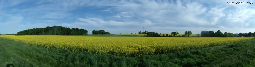 一望无际的大草原图片