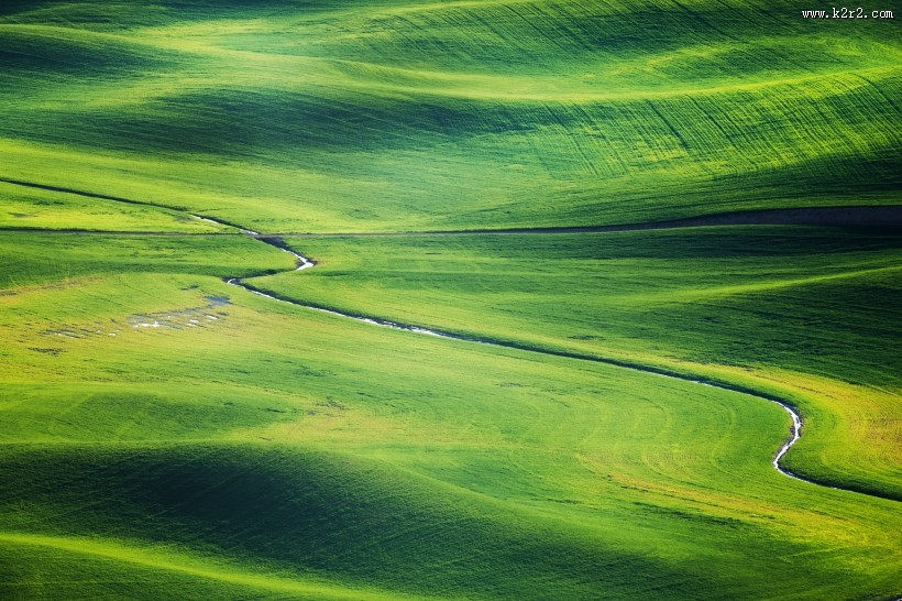 一望无际的大草原图片