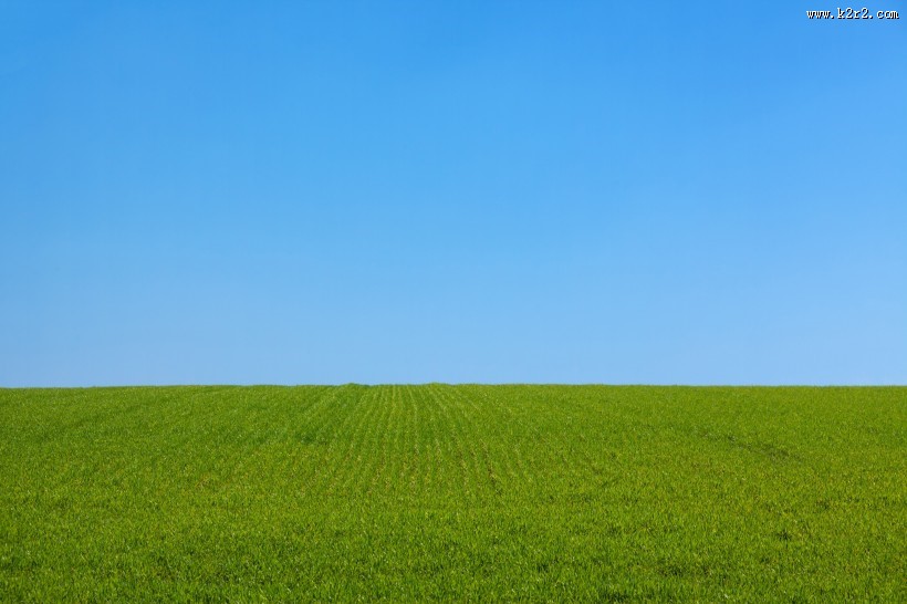 平坦的草地图片