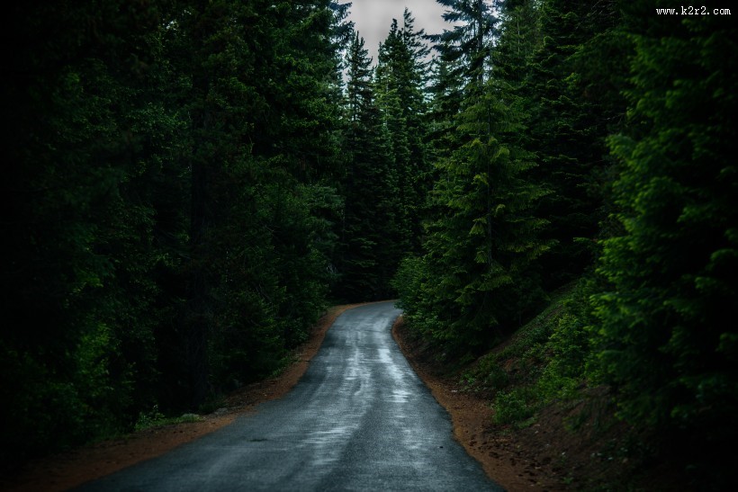 森林里幽静的小路图片