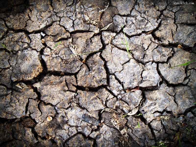 干裂的土地图片