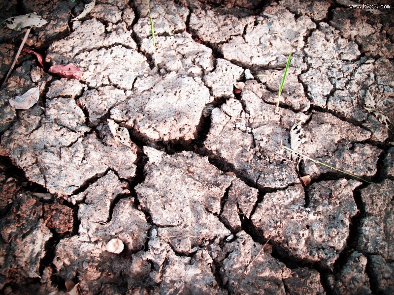 干裂的土地图片