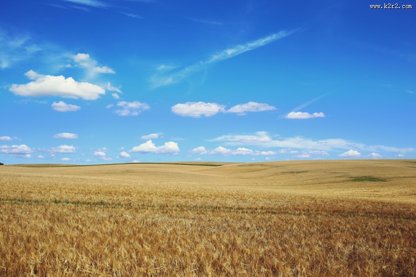 田野上空的蓝天白云图片大全