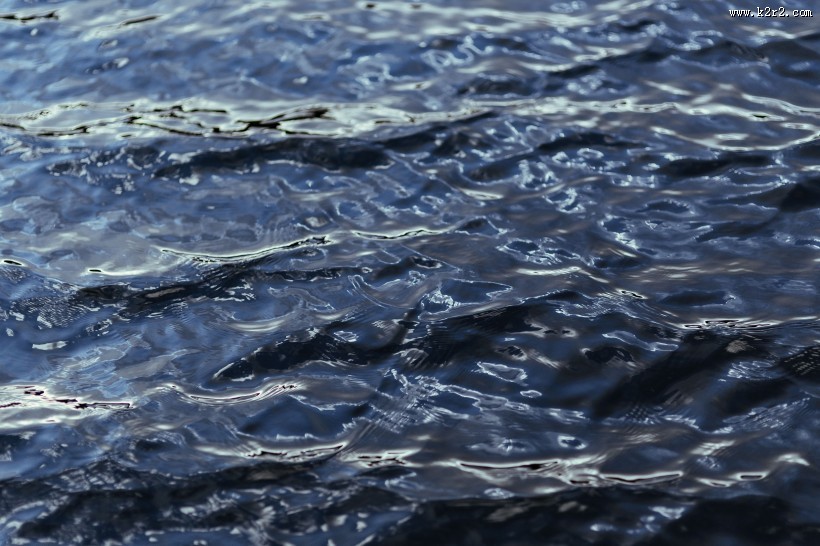 冬季的湖边图片