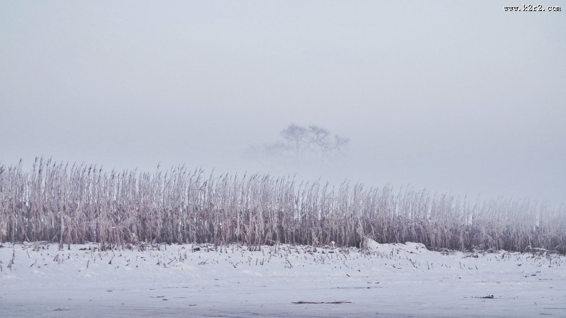 大自然的馈赠唯美雪景图片