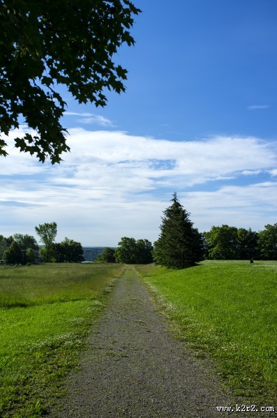 绿油油的树木图片大全