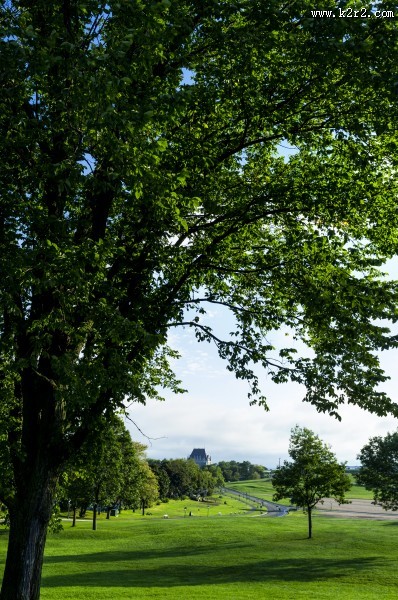 绿油油的树木图片大全