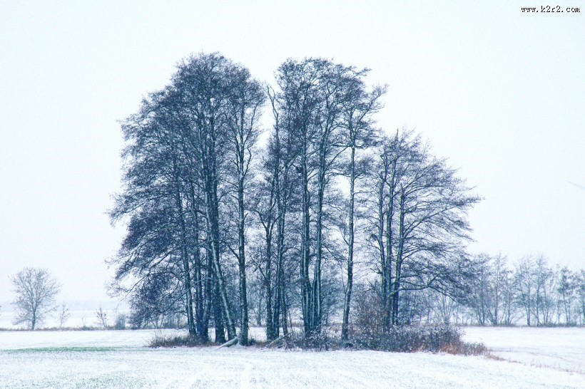 寒冷的冬季图片大全