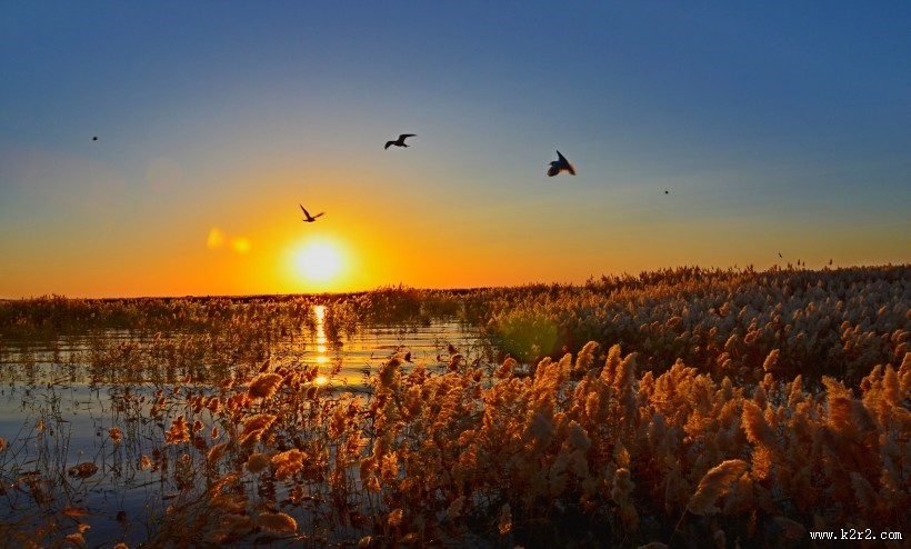 美丽的日出图片