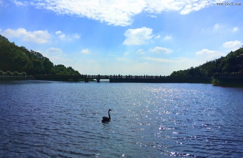 清澈的湖泊的图片