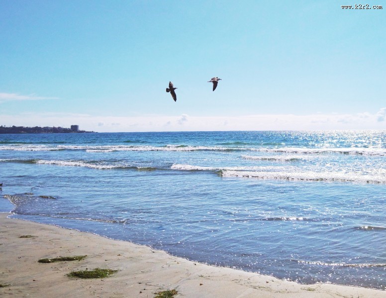 美丽的大海图片