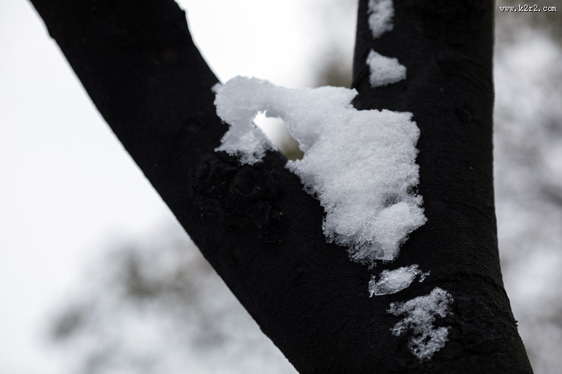 寒冷冬季雪景图片