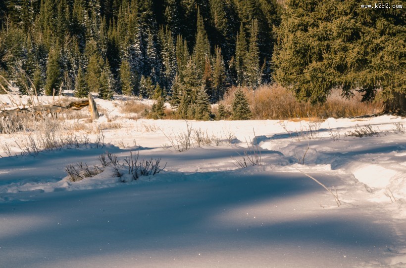 郊外的美丽雪景图片