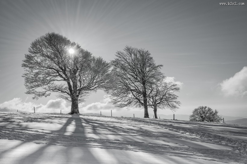银装素裹的冬季图片