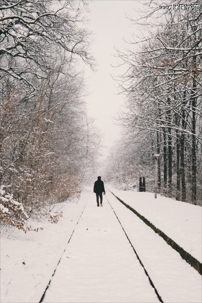 银装素裹的冬季图片