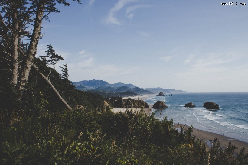 美丽的沙滩图片