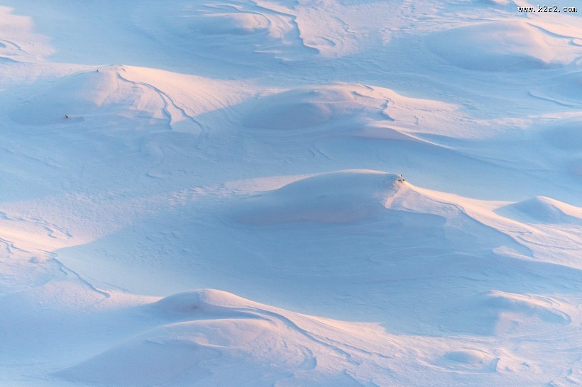 冬天的雪景图片