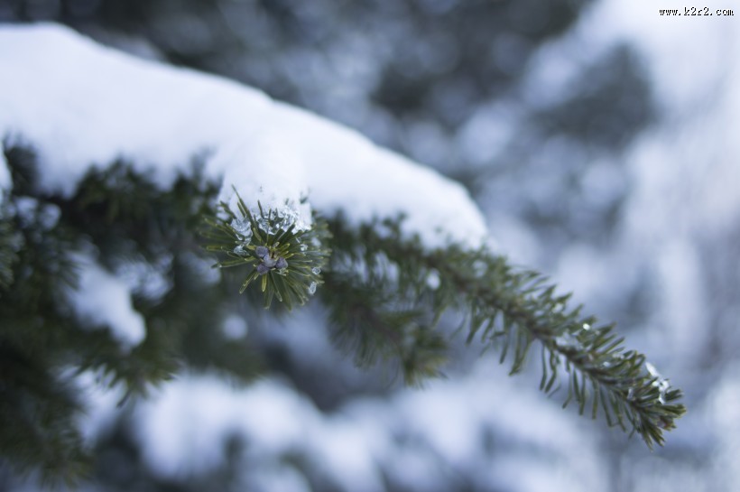 美丽的雪景图片大全