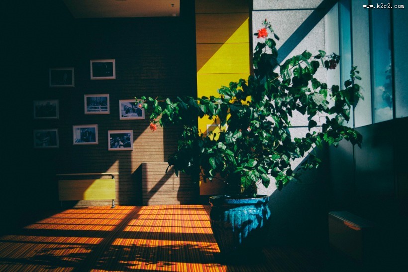 阳光照耀在房子的图片